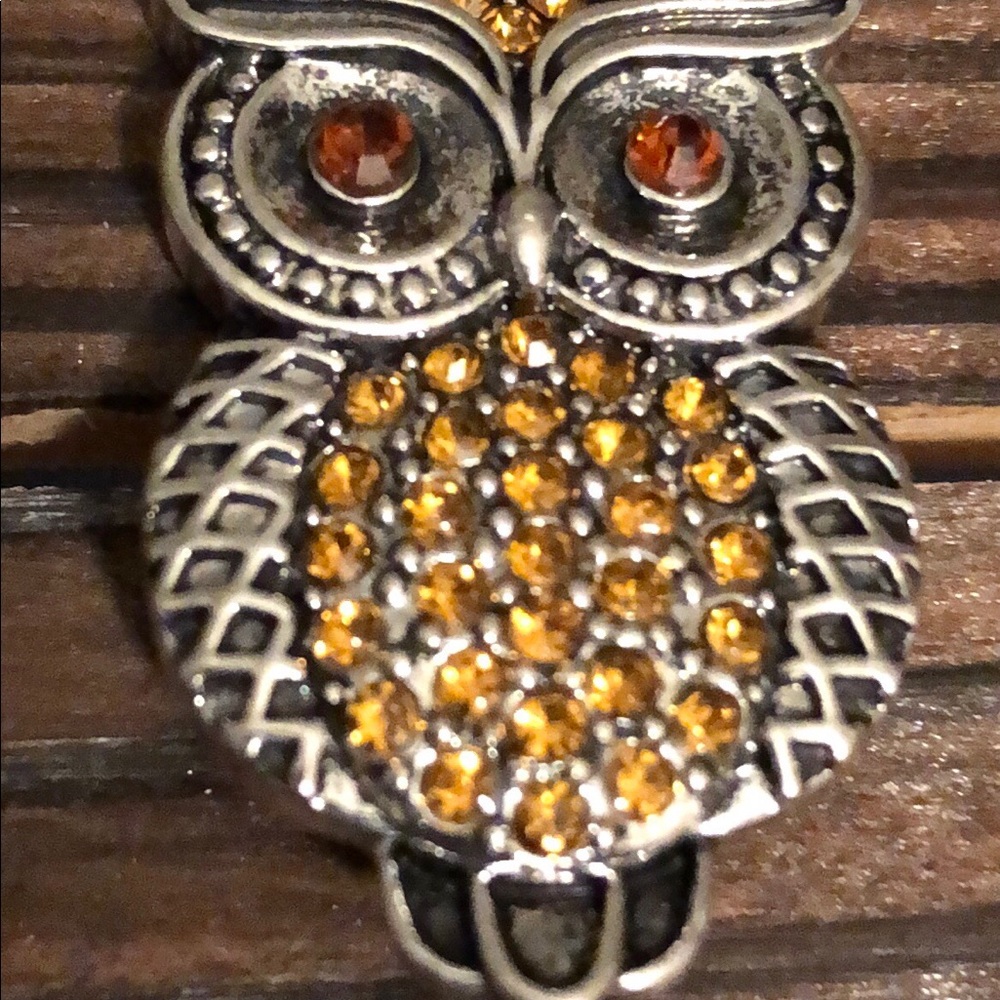 Interchangeable Owl Snap 18mm